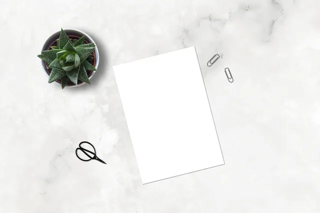 marble, paperclip, mockup, flatlay, plant, ecommerce, scissors, blank, paper, marketing, business, succulent, sheet, desk, table, white sheet, portfolio, shop, drawing, painting, layout, digital art, picture, instagram, nature, blog. Check a programmatic advertising product comparison before you sign